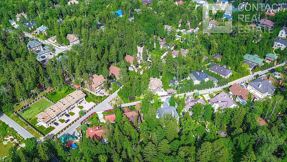 Лесной простор