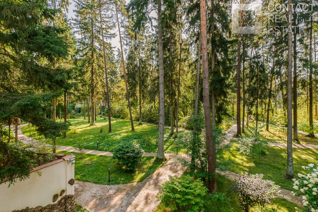 Успенские дачи