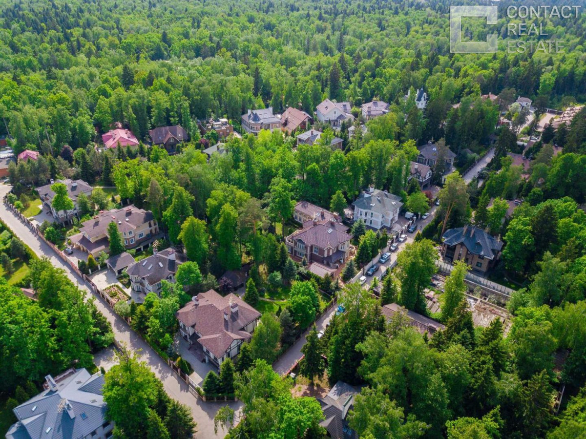 Лесной простор