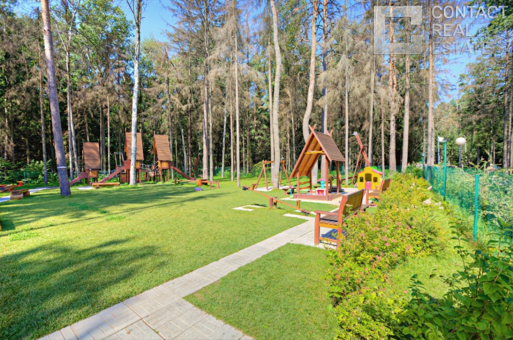 Лесной простор