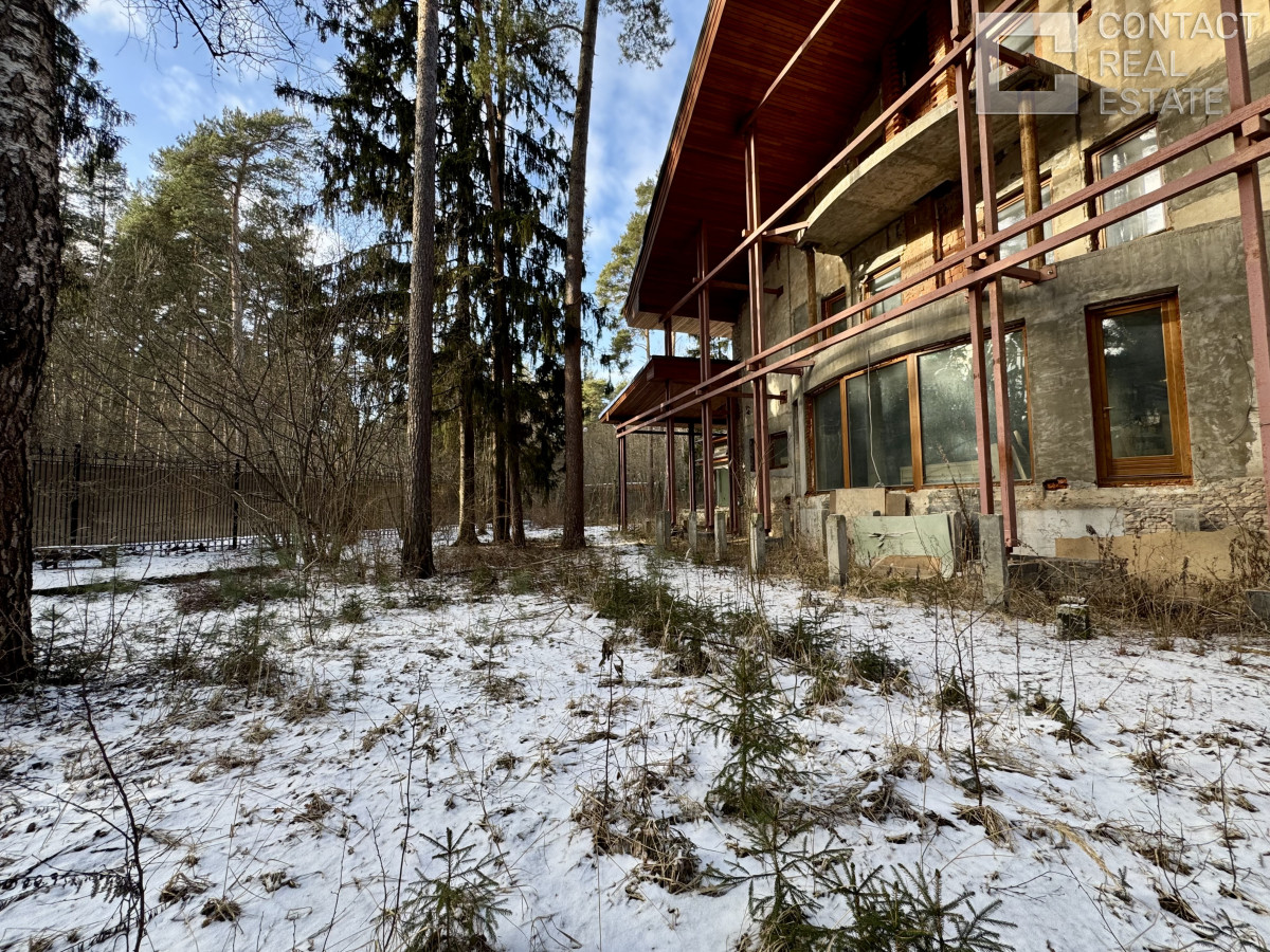 Сосновый бор