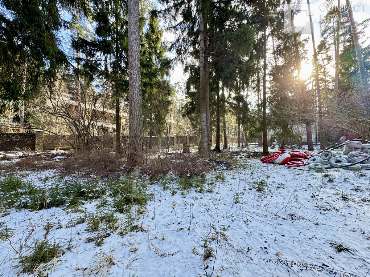 Сосновый бор