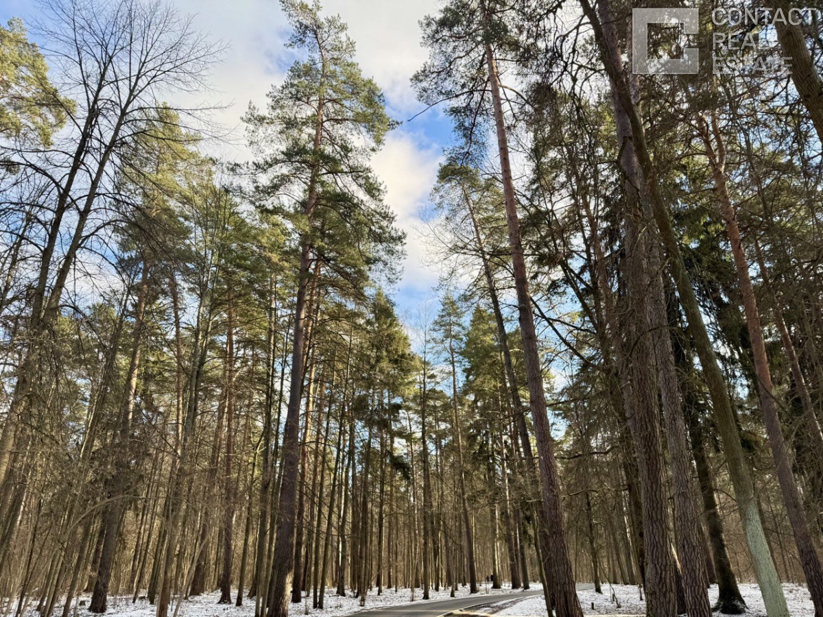 Горки-2