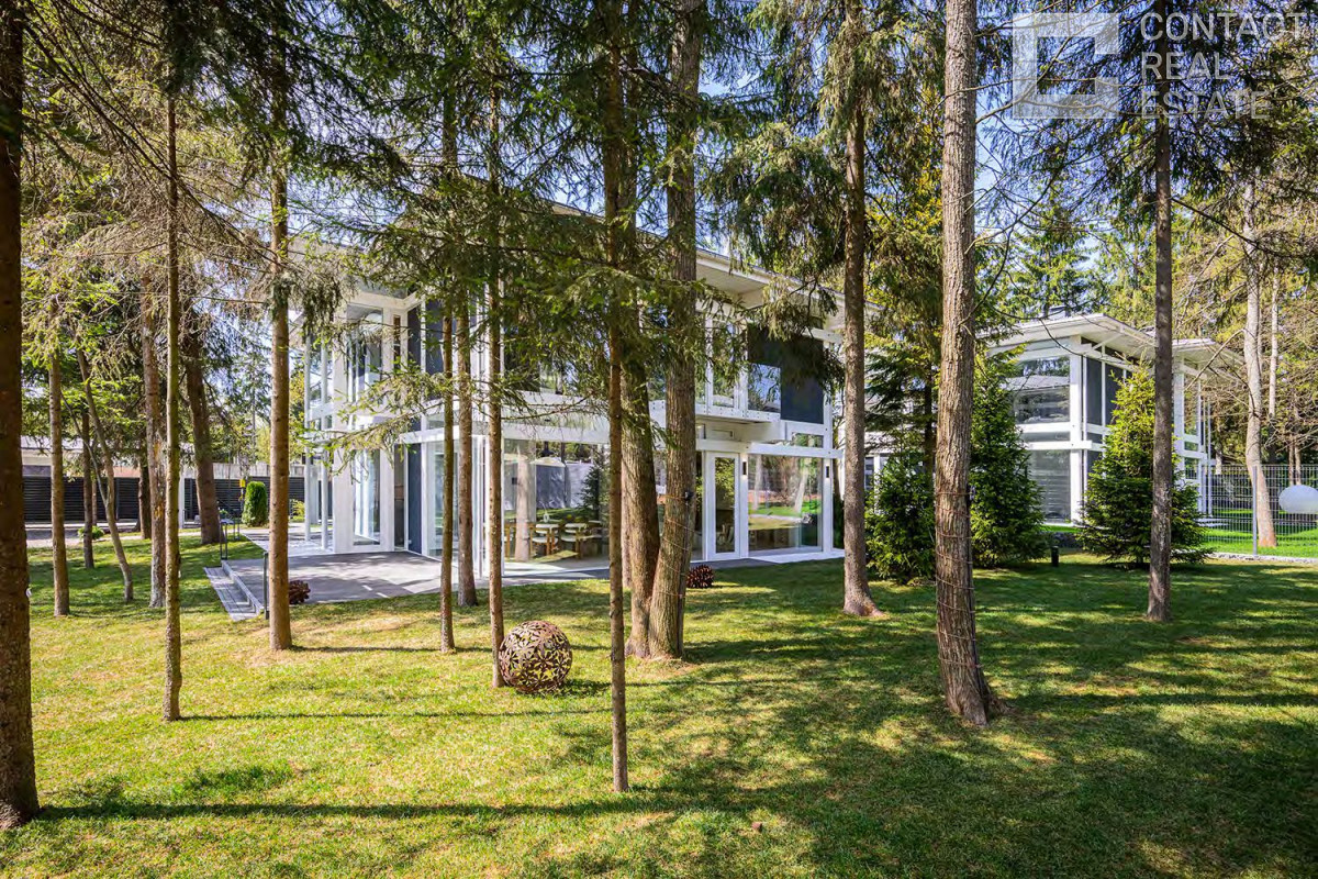 Зеленая роща