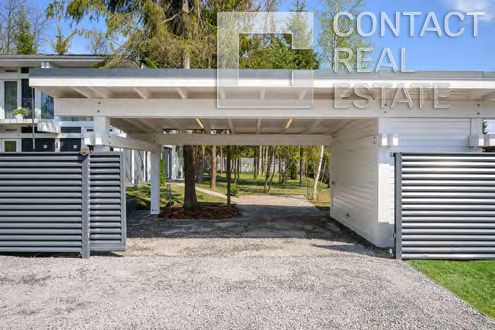 Зеленая роща