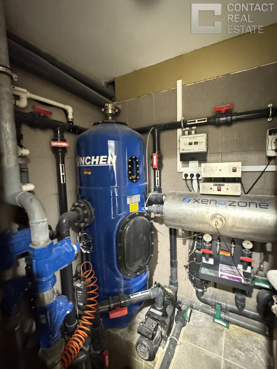 Сосновый бор