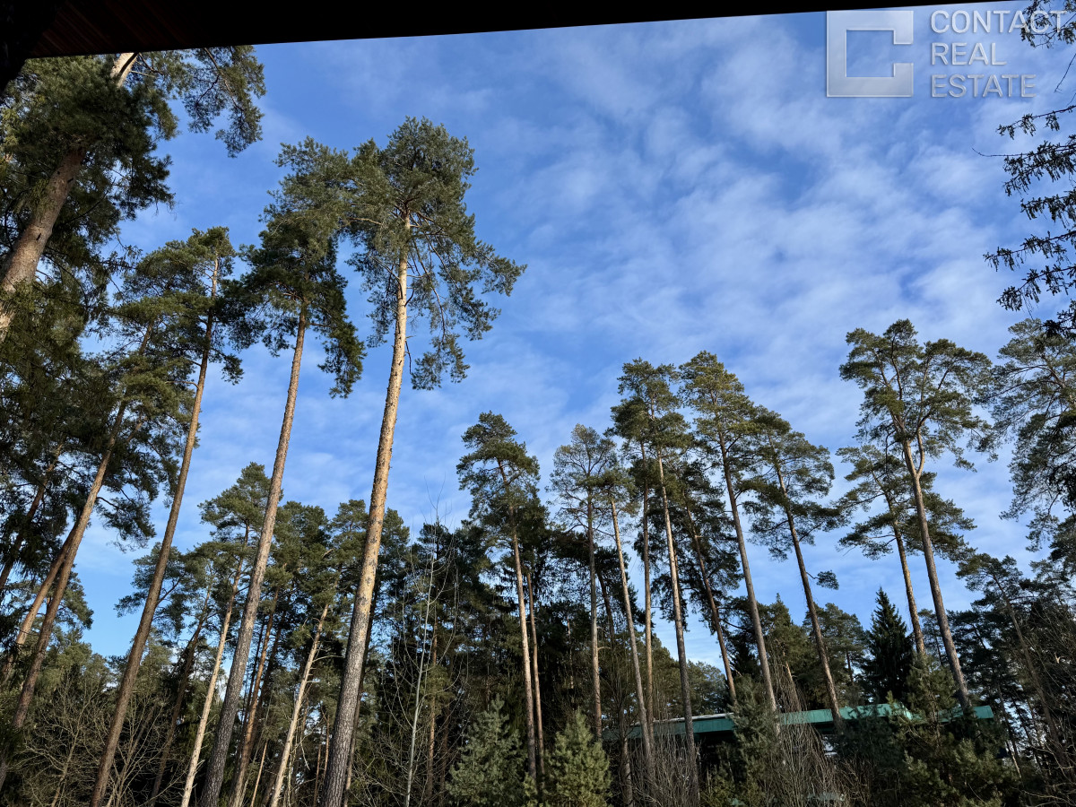 Сосновый бор