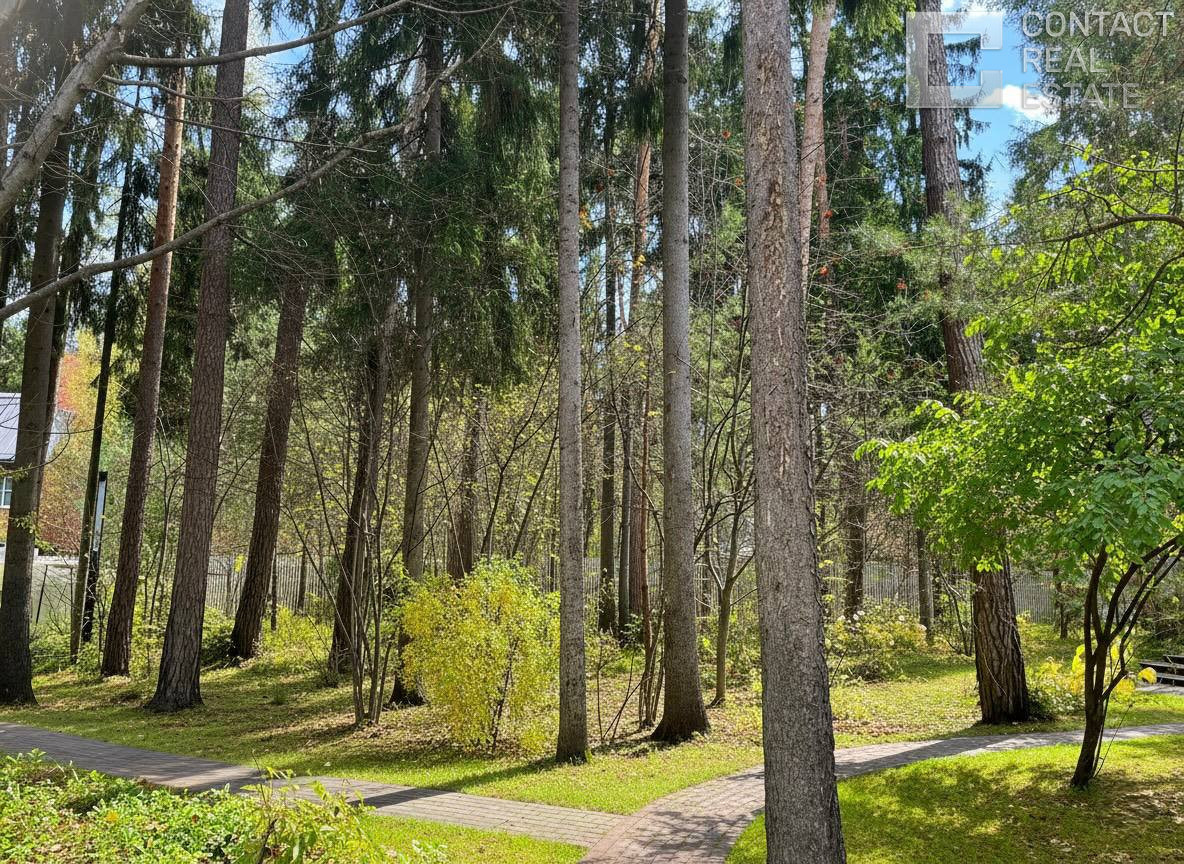 Сосновый бор