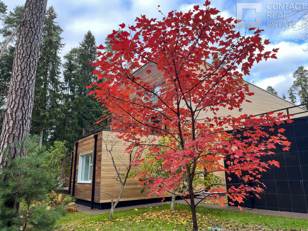 Сосновый бор