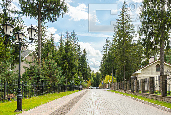 Лесные Зори