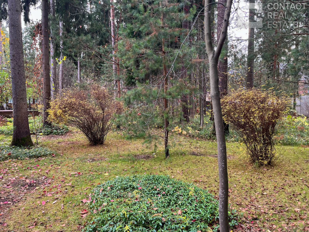 Сосновый бор