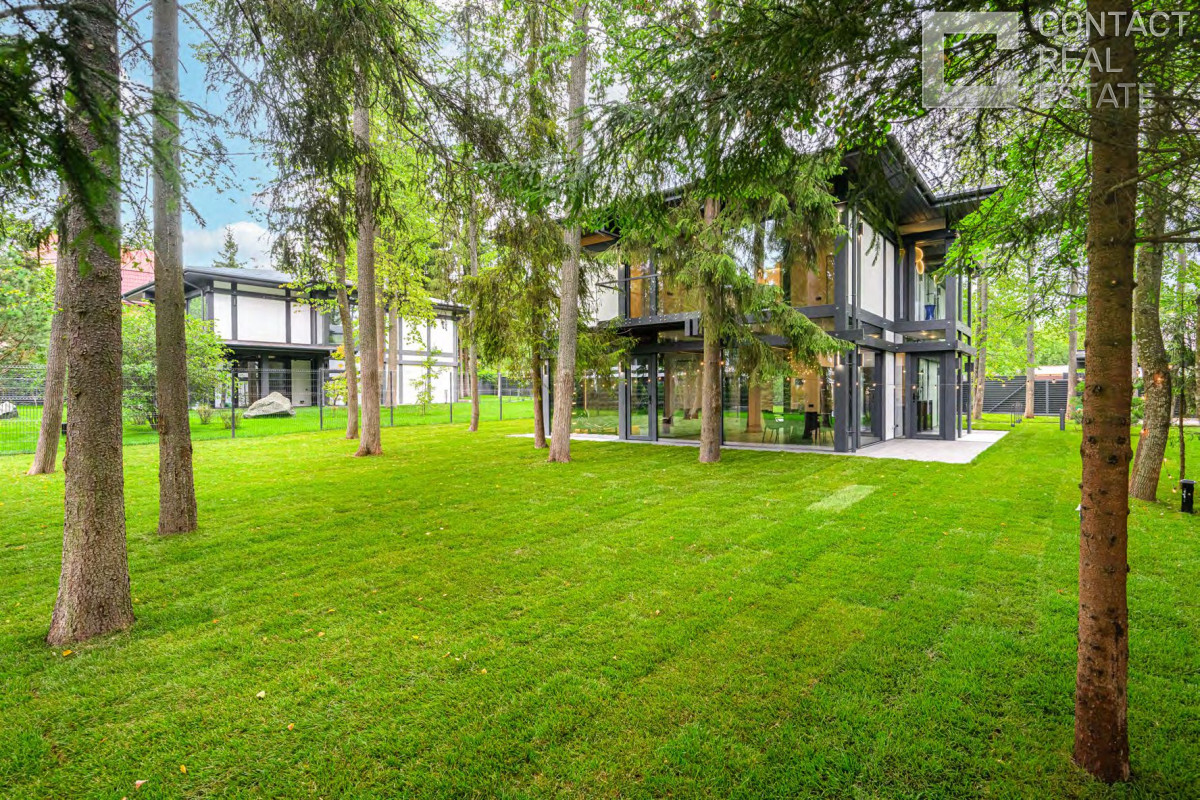 Зеленая роща