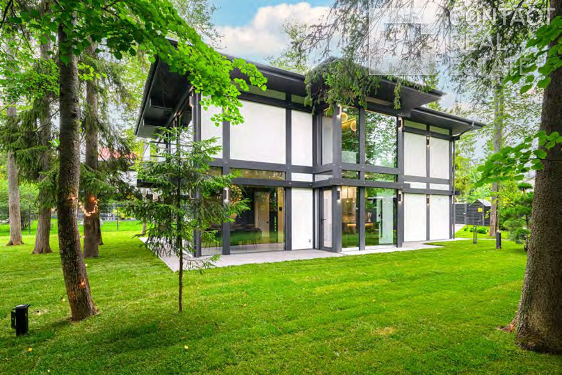 Зеленая роща