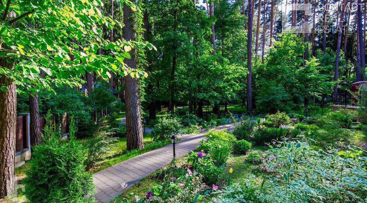 Сосновый бор