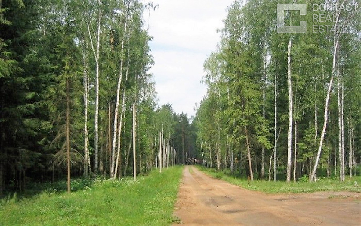 Вымпел