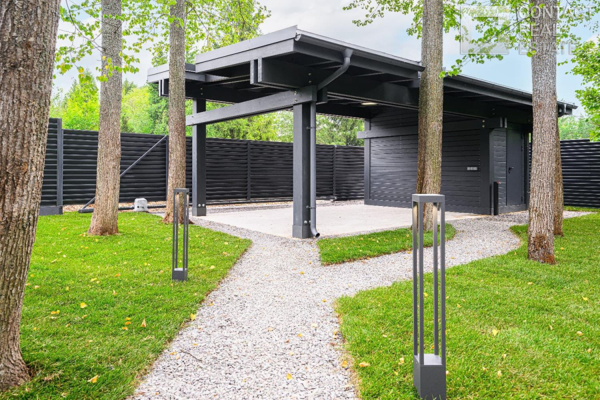 Зеленая роща