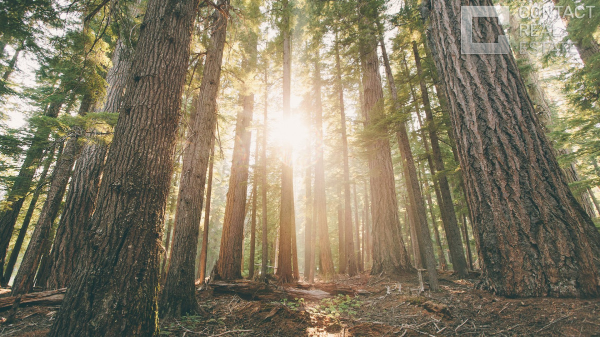 Новодарьино