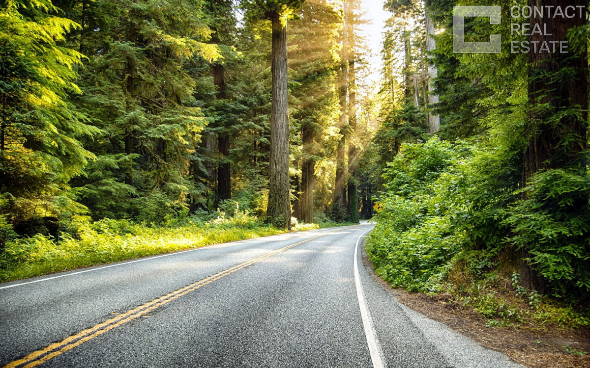 Новодарьино