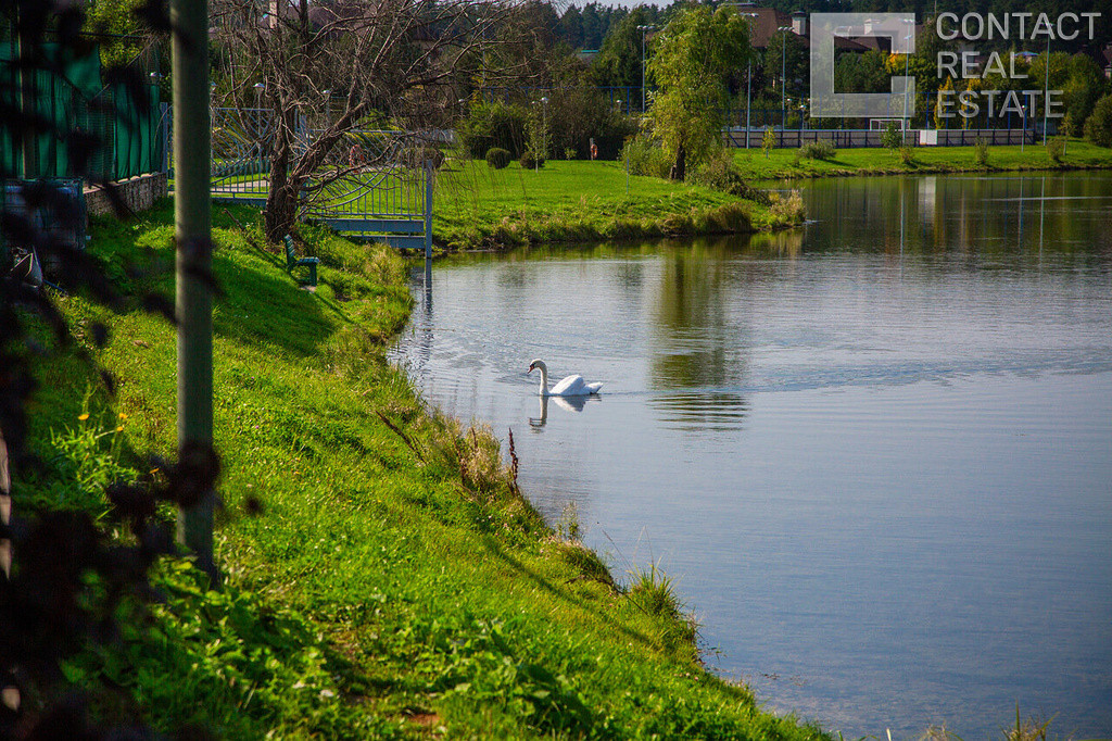 Резиденции Бенилюкс