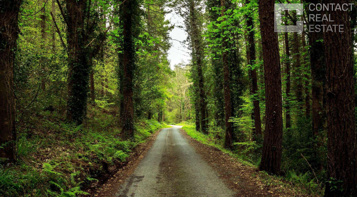 Сосновый бор