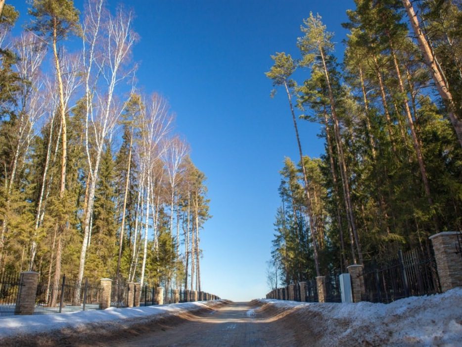 Лесной участок на Новорижском направлении.