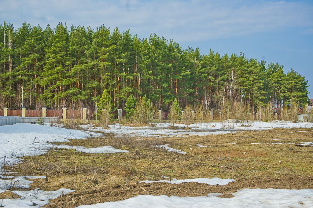 Участок рядом с лесом на Новорижском направлении.